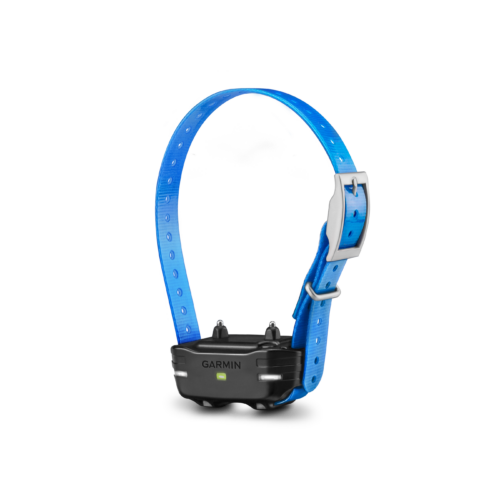 Garmin PT 10 Dog Device with Blue Collar