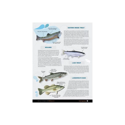 Kootenay Region BC Fishing fish species