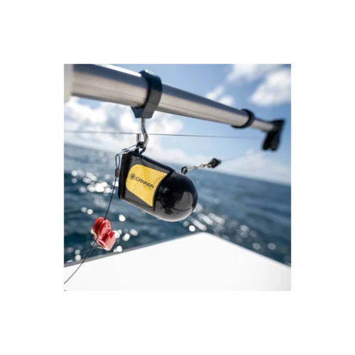 Cannon Flash Downrigger weights in use