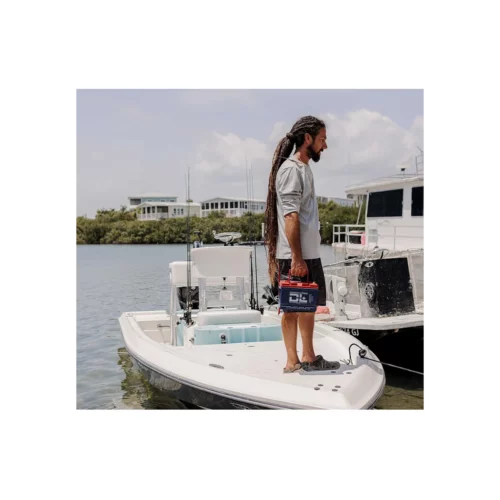 DL+ 12v 60Ah Dual Purpose 1000CCA Starter Battery Plus Deep Cycle Performance in hand