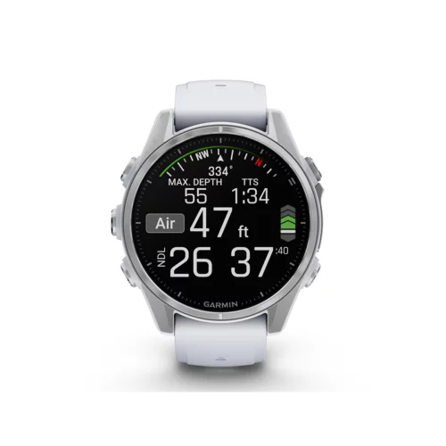 Garmin fenix 8 43mm silver dive statute