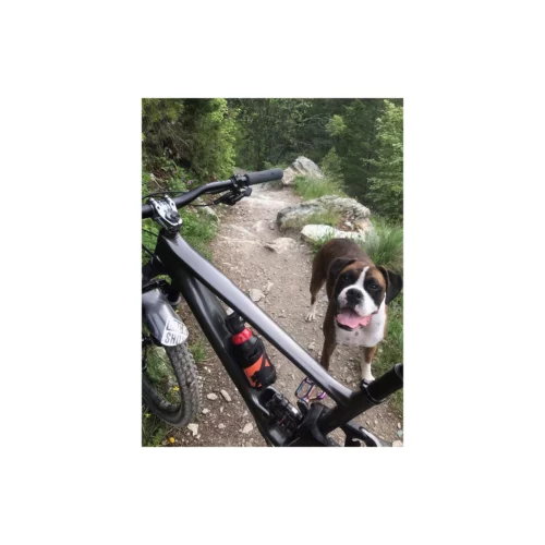 Bear Spray Bike Holster on bike 2