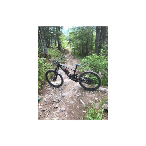 Bear Spray Bike Holster on bike 3