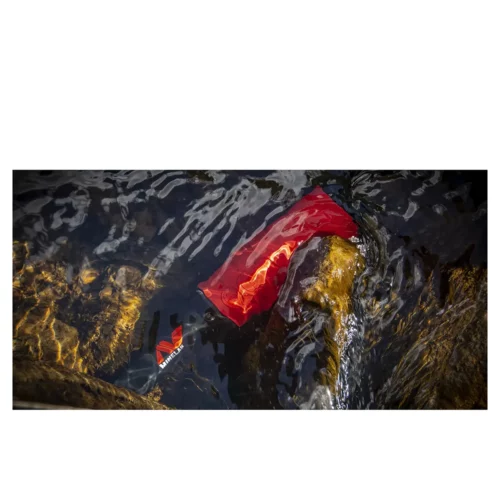 Minelab pro-find 40 under water