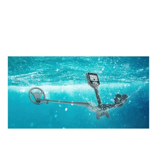 Nokta 1st swing under water