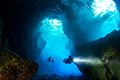 aquatic compare